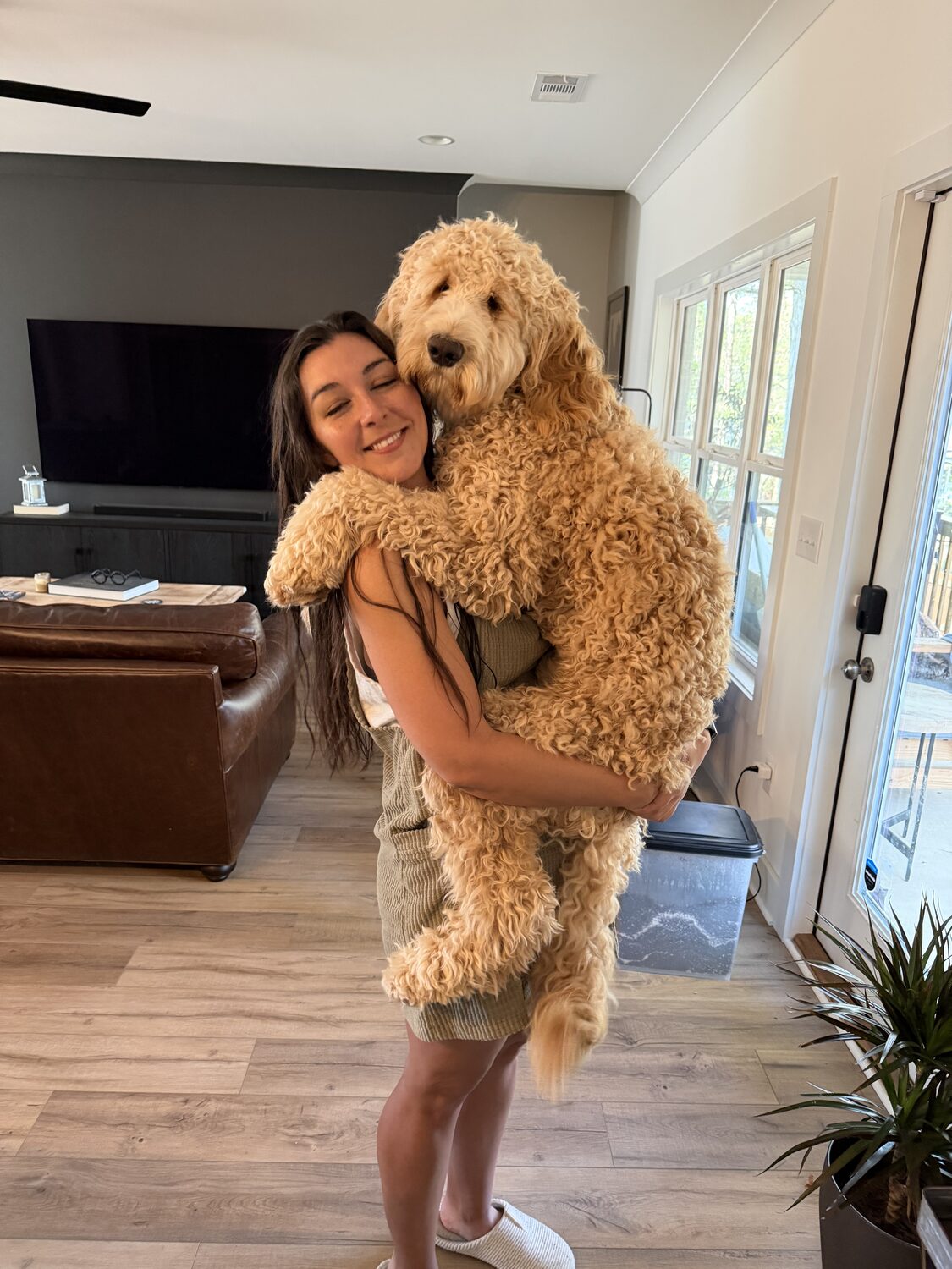 Black Warrior Doodles — Arnold, F1B Bernedoodle, at 9 months old